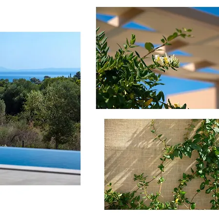 Ioanna Mentoros Karavádhos